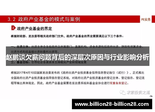 赵鹏谈欠薪问题背后的深层次原因与行业影响分析